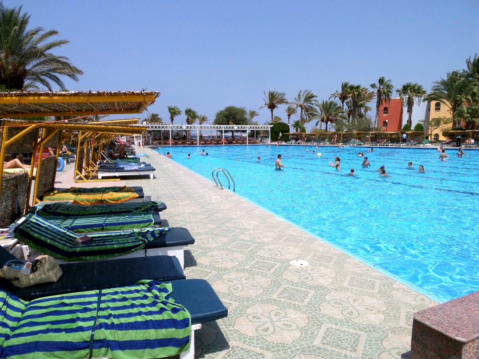 Toller Pool mit Olympia-Maßen Arabia Azur Resort