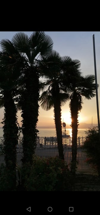 Gartenanlage Hotel Eden