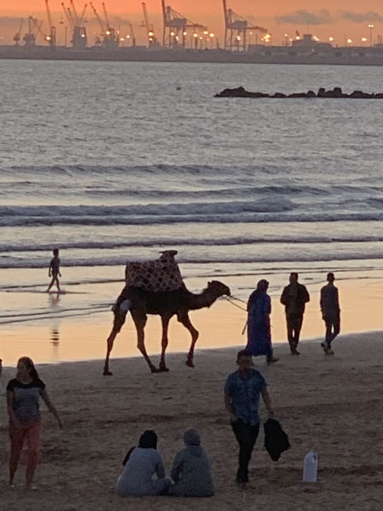 Strand Hotel Riu Palace Tikida Agadir