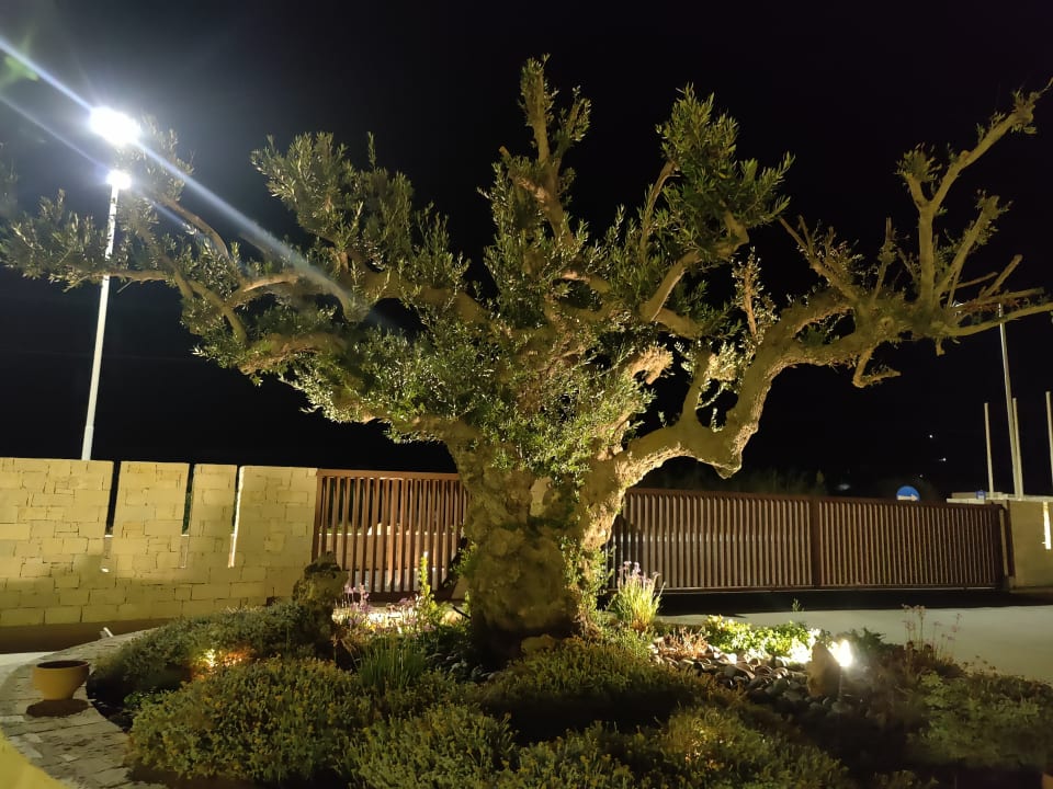 Außenansicht Ostria Resort & Spa