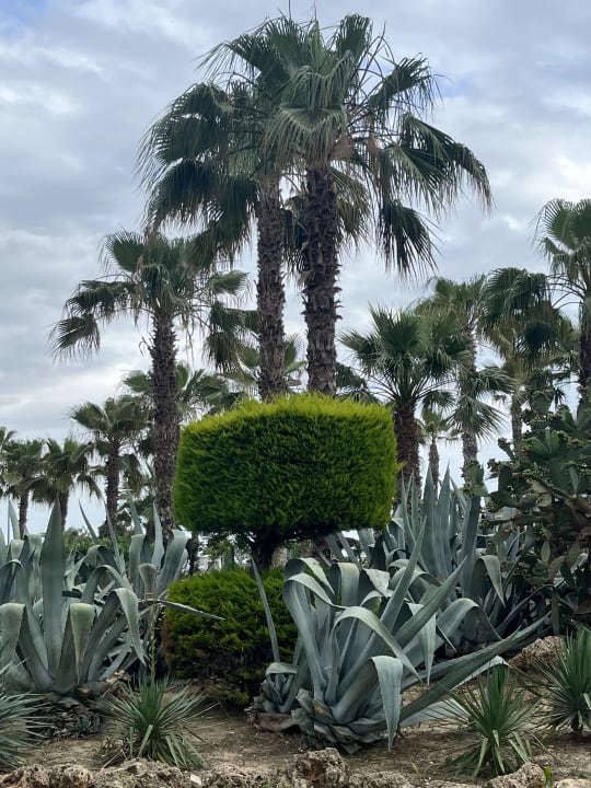 Gartenanlage VONRESORT Golden Coast