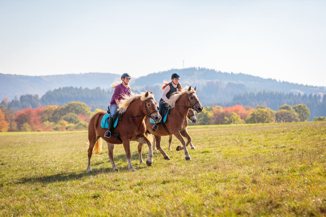 Sport & Freizeit Hotel Freund