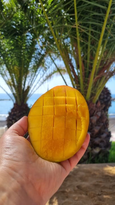 Gartenanlage Hotel Riu Palace Tenerife