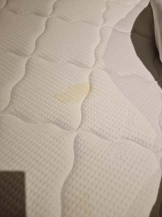 Zimmer King Jason Protaras - Designed for adults