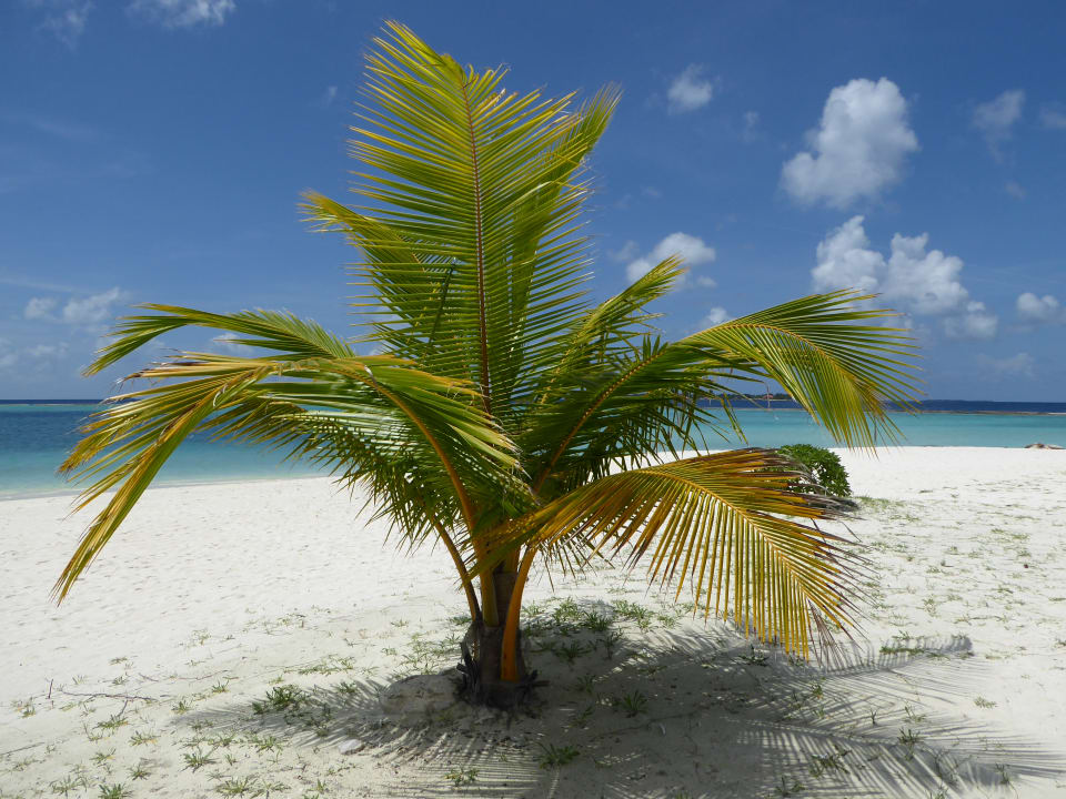 Strand Adaaran Select Meedhupparu Island Resort - Premium All Inclusive