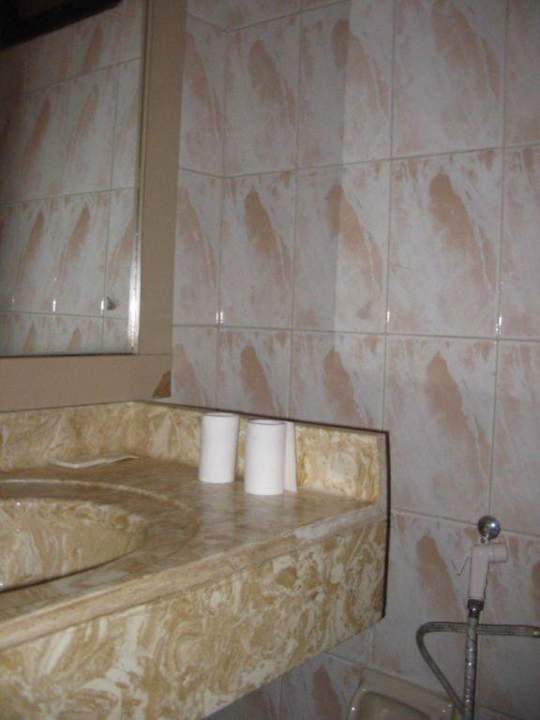 Toilet by the restaurant Candle Hotel Wadi Musa