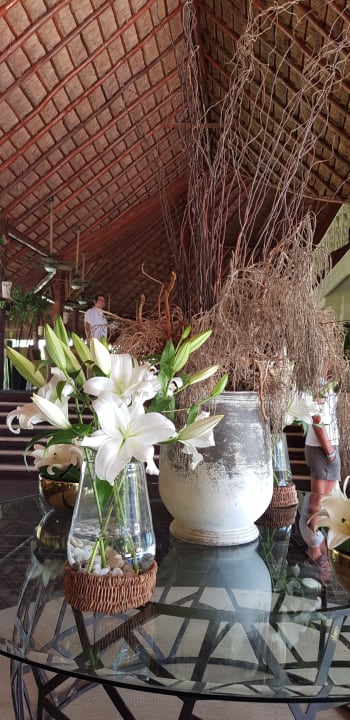 Lobby Akumal Bay Beach & Wellness Resort