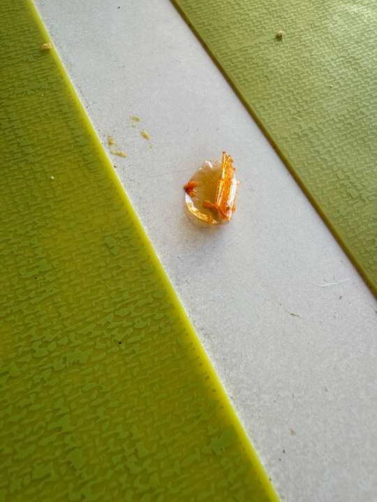 Gastro FERGUS Club Pineda Splash