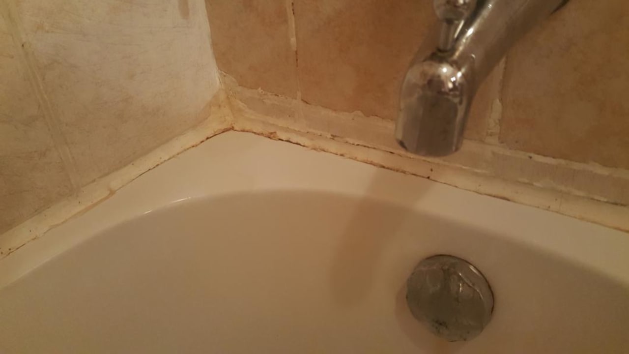 Zimmer Ghazala Gardens