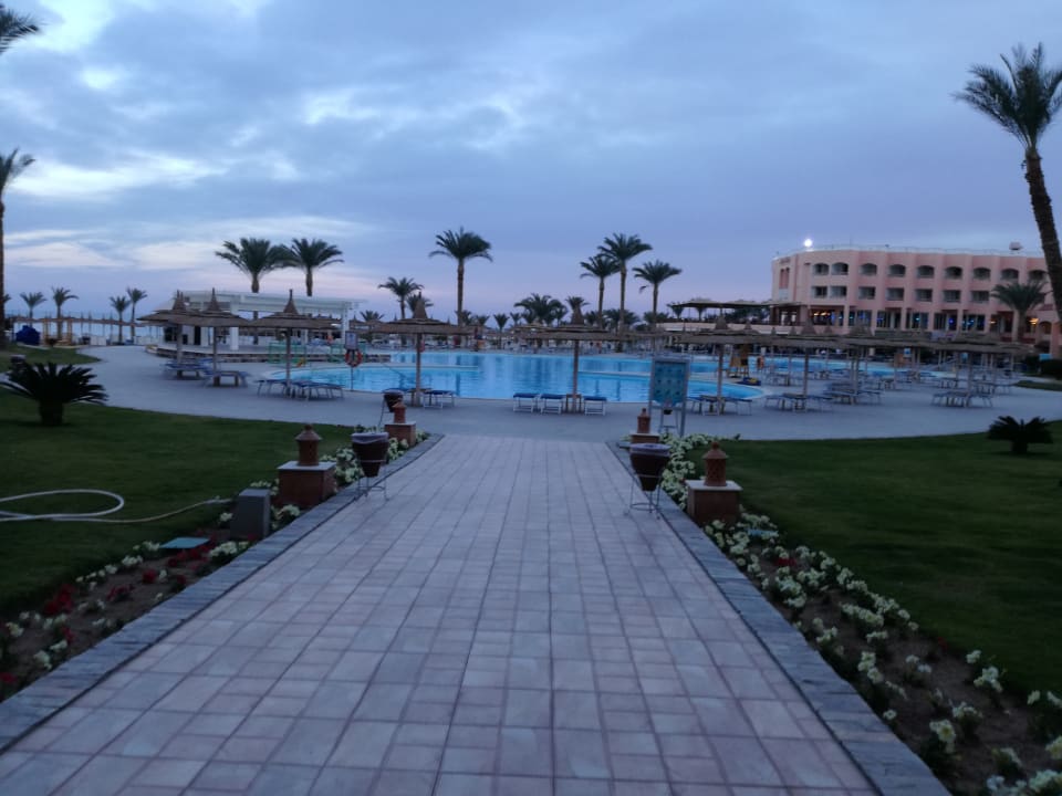 Pool Beach Albatros Resort