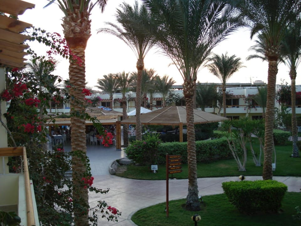 Ausblick vom Zimmer aufs Meer Palm Beach Resort