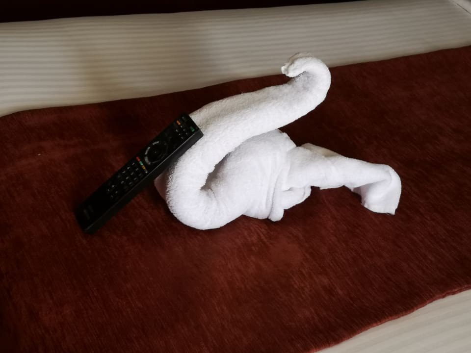 Zimmer Palm Royale Resort - Soma Bay