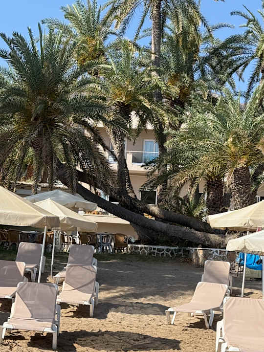 Strand Zeus Hotels Palm Beach