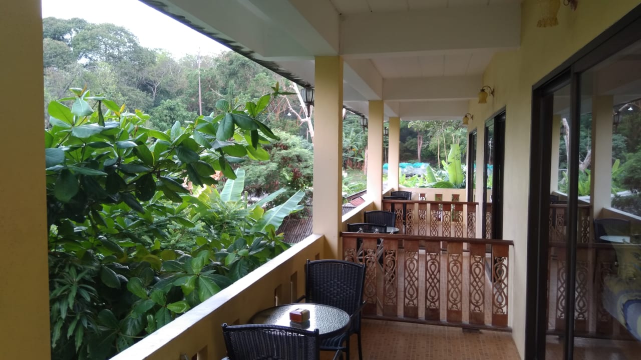 Ausblick Mossman House - Guesthouse