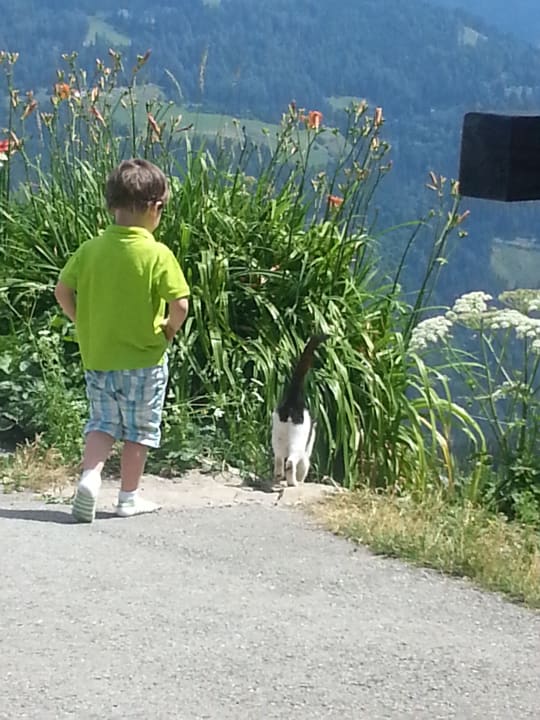 Gartenanlage Biobauernhof Fritzn