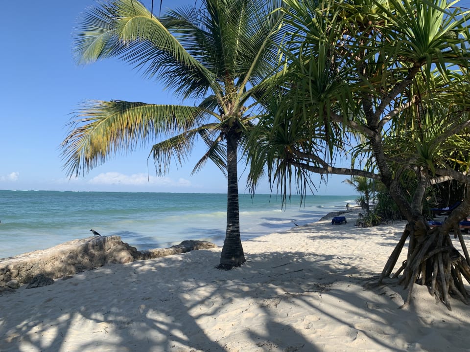 Strand Neptune Pwani Beach Resort & Spa