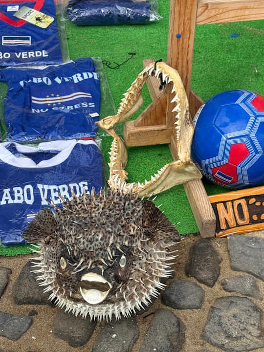 Sonstiges Hotel Riu Cabo Verde