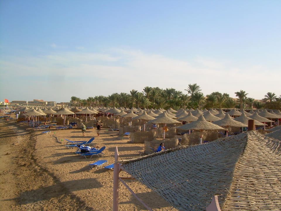 Vom Hochsitz aus Jaz Makadi Oasis Resort