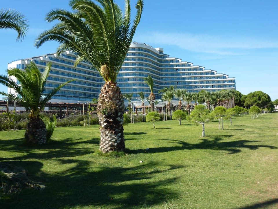 Vom Volleyballplatz aus Venosa Beach Resort & Spa