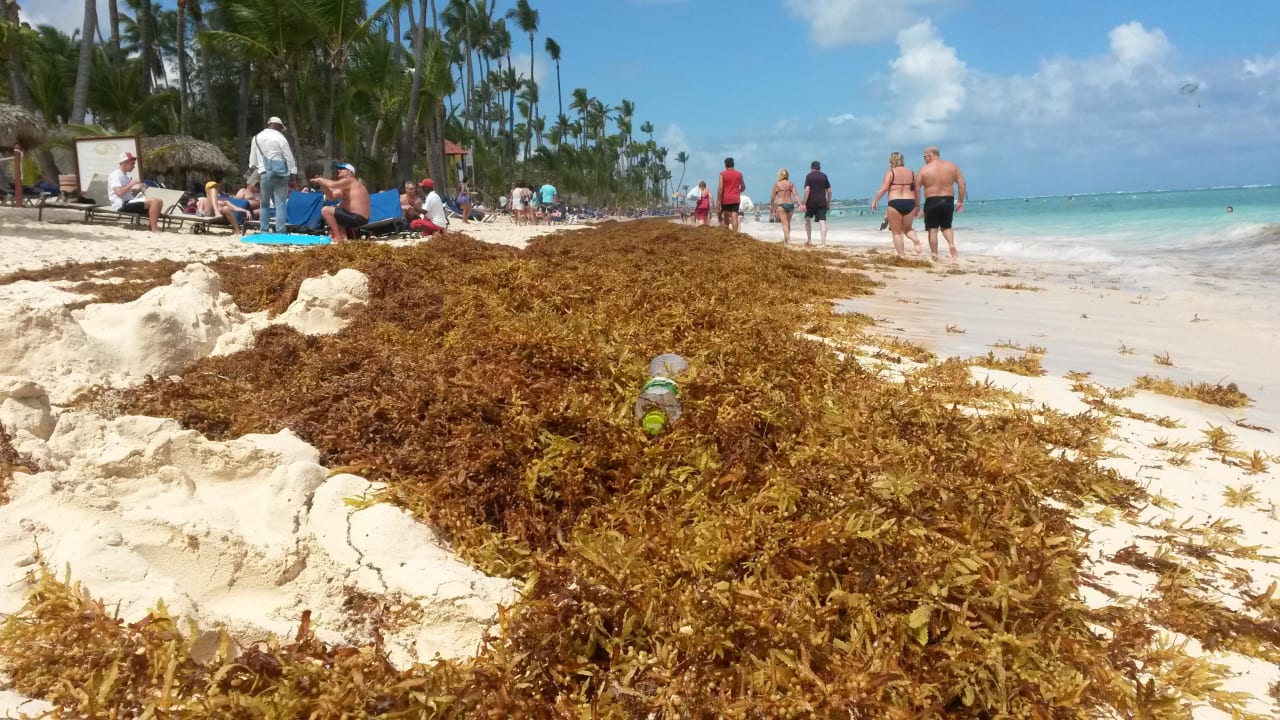 "Traumstrand" TRS Turquesa Hotel - Adults only