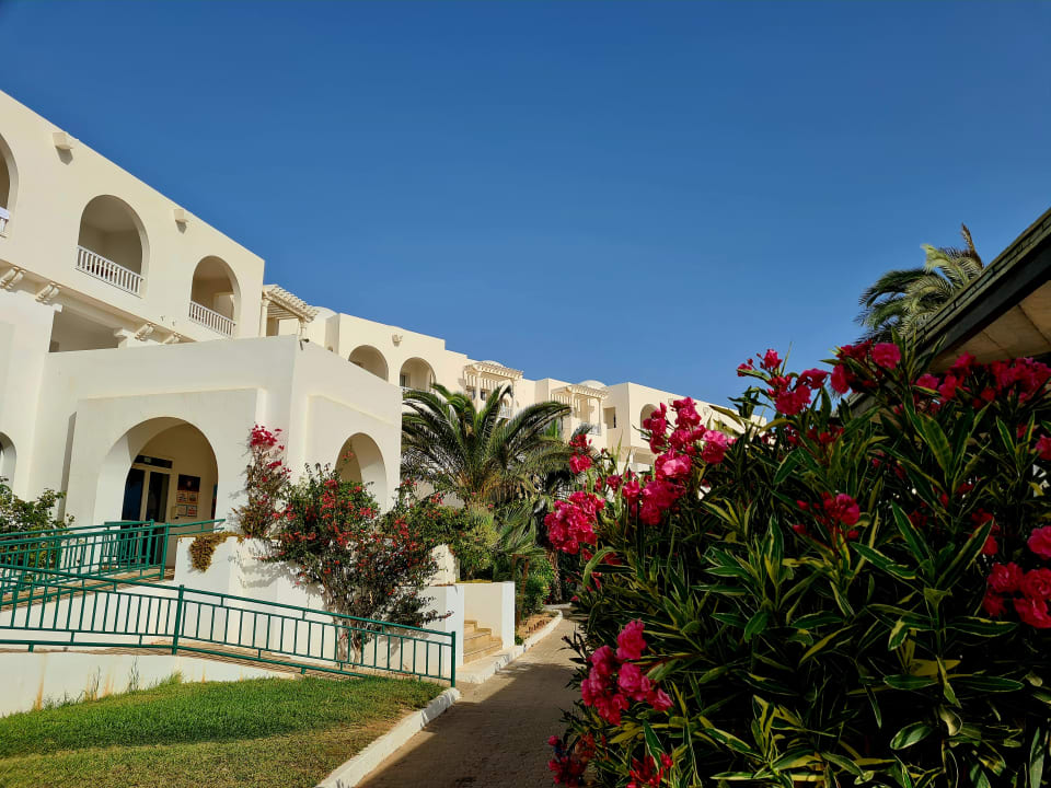 Gartenanlage Vincci Helios Beach