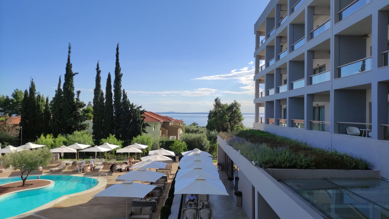 Ausblick Ikos Olivia