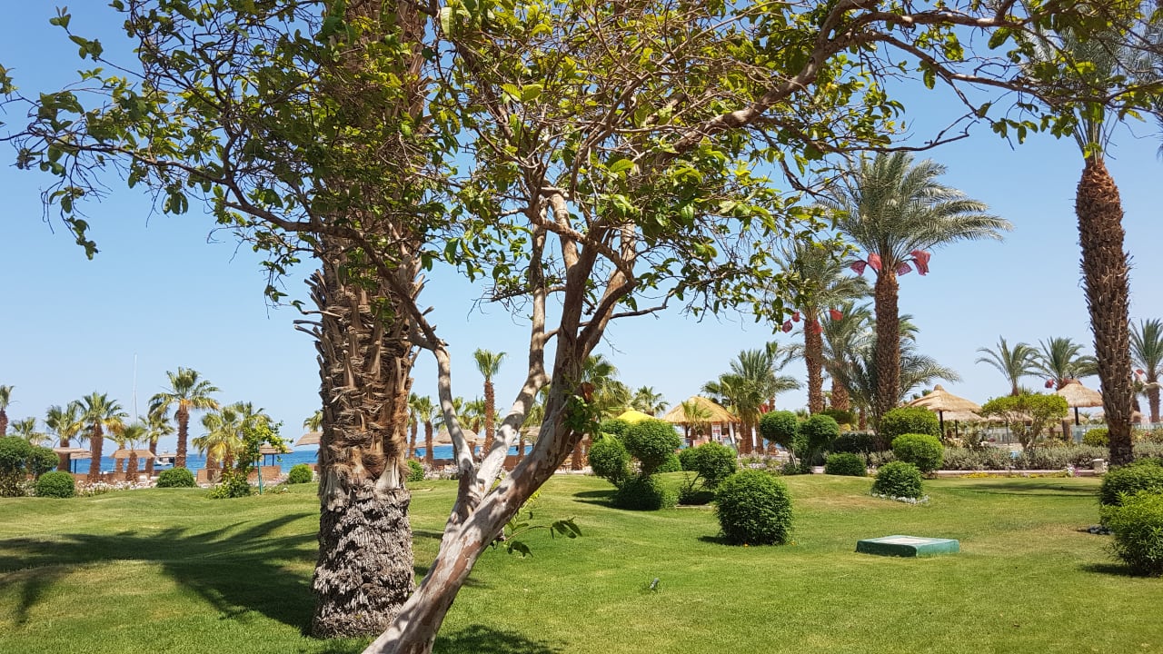 Außenansicht Lotus Bay Beach Resort
