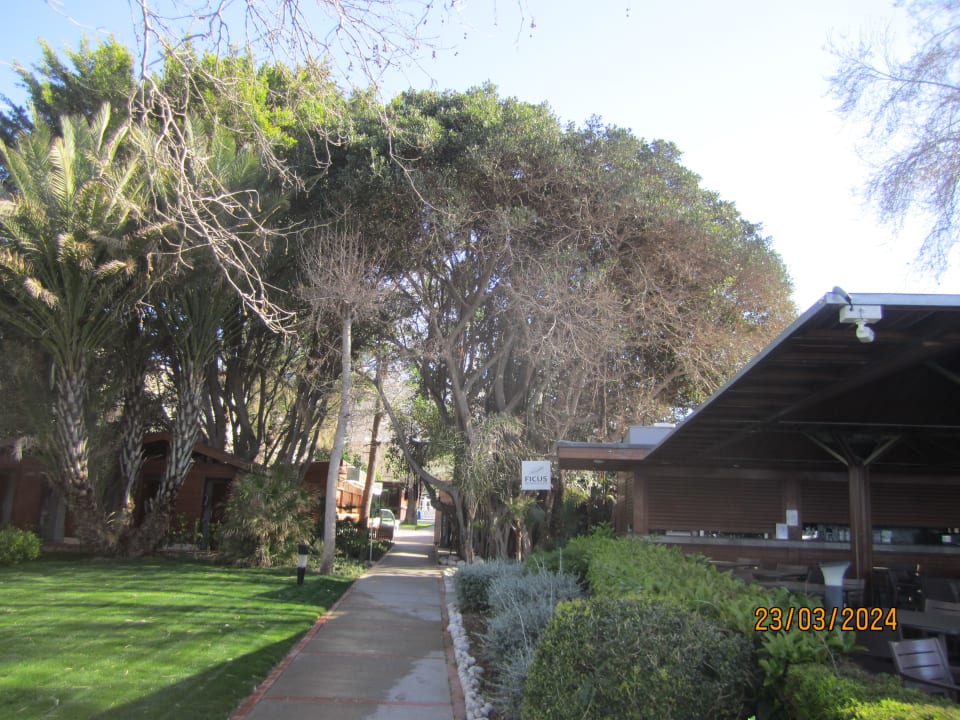 Gartenanlage Side Star Elegance