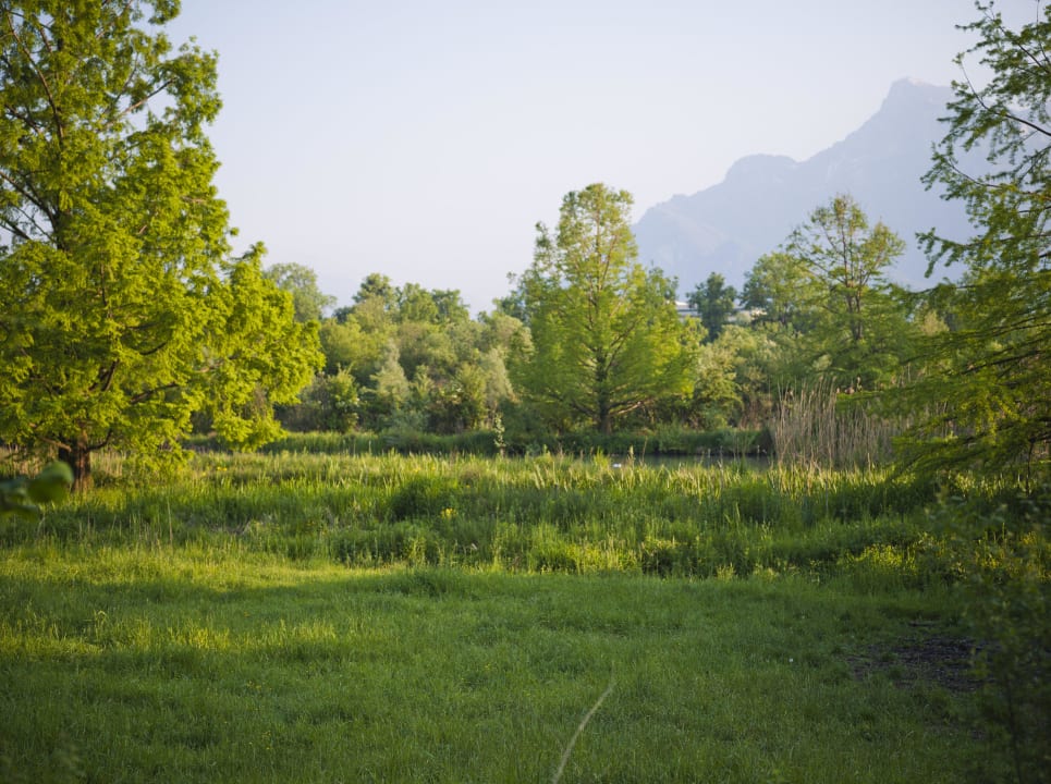 Ausblick Leopoldskron Gästehaus Eva-Maria