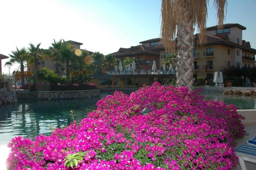 Blumenpracht vor dem Pool Club Grand Aqua