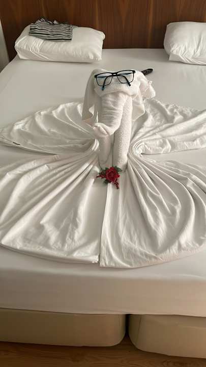 Zimmer Seashell Vega