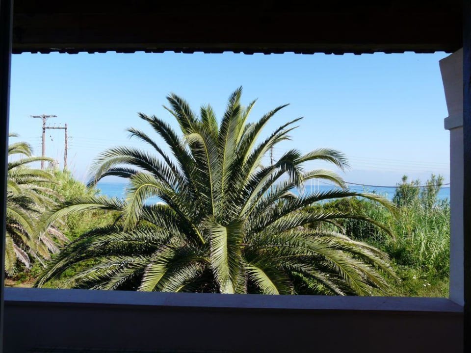 Blick von Balkon über Palme auf Meer St. George's Bay Country Club
