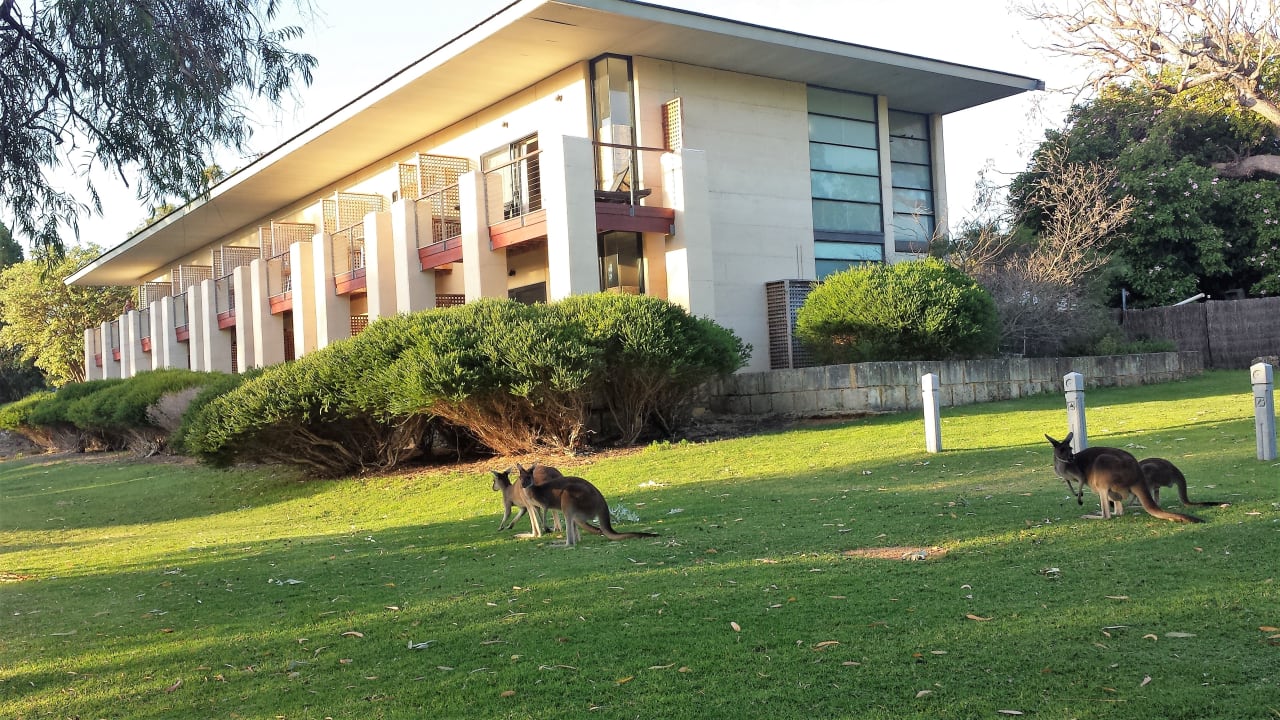 Ausblick Hotel Comfort Inn Yanchep