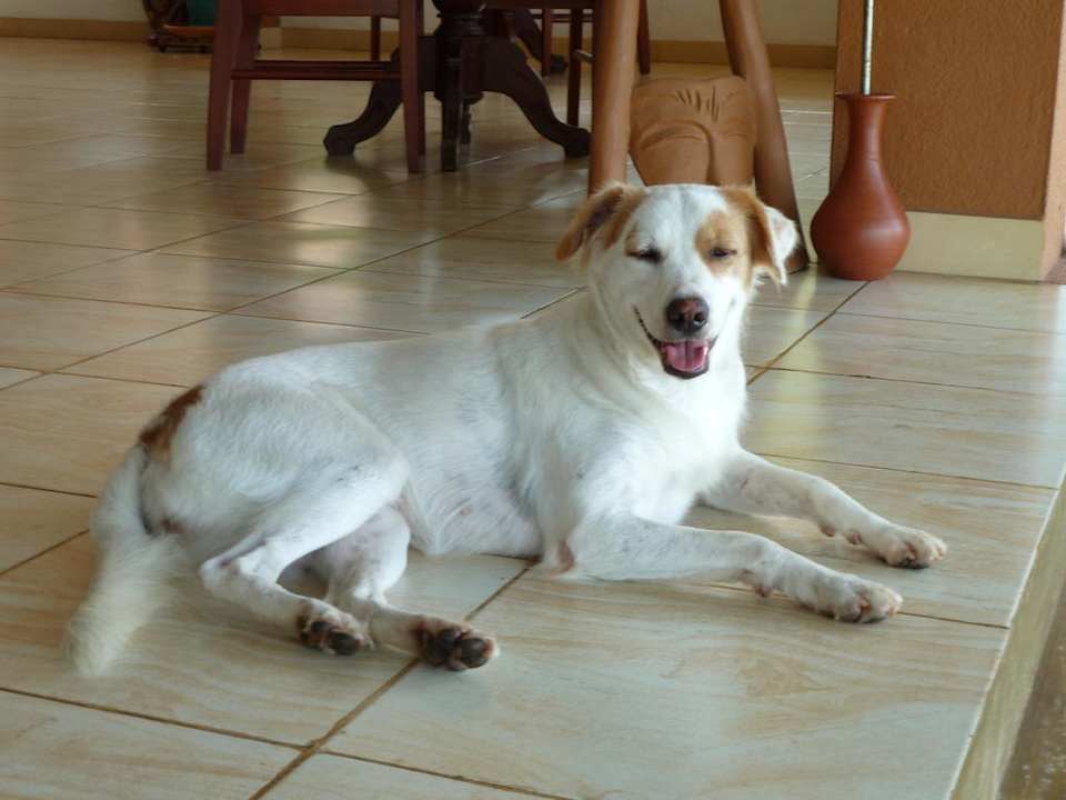 Whity Hotel Panorama