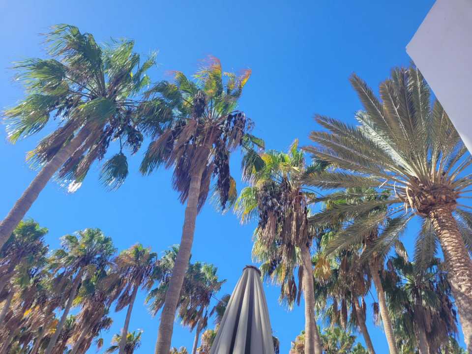 Außenansicht Bahia Calma Beach