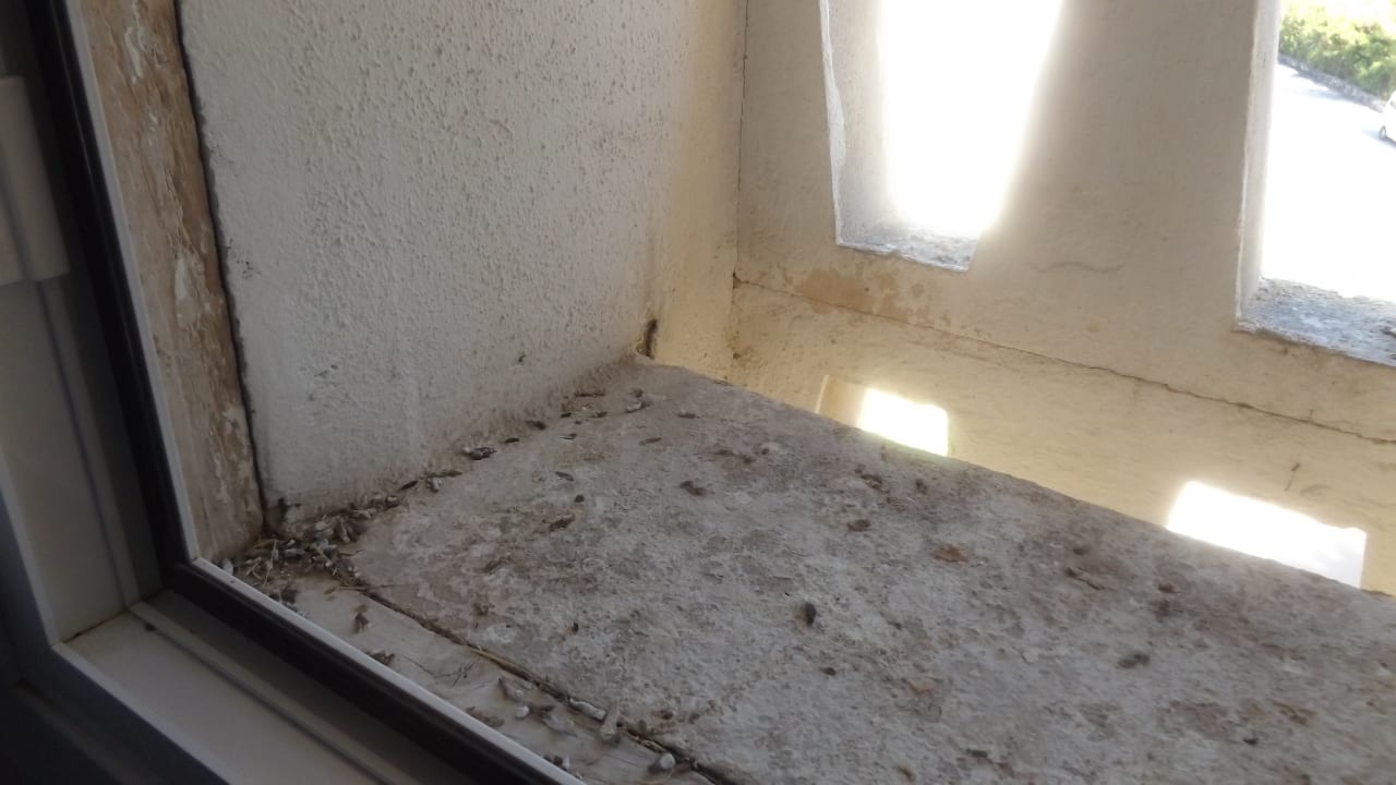 Zimmer BelleVue Club