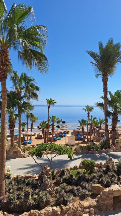 Strand Pickalbatros Citadel Resort