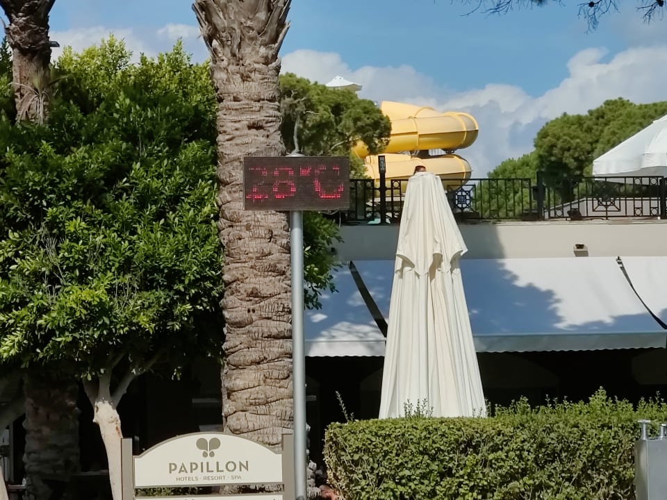 Strand Papillon Ayscha