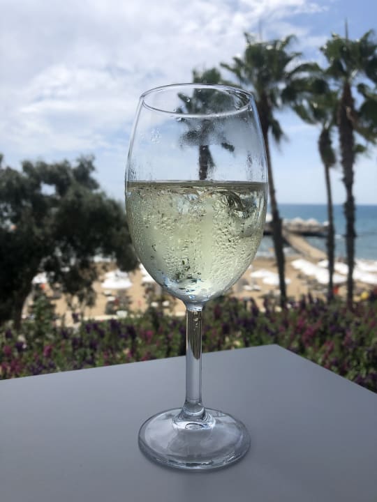 Gastro Arum Barut Collection