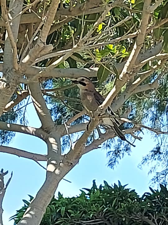 Gartenanlage Xanadu Island Hotel
