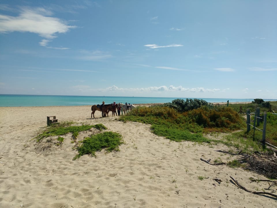 Strand Gran Muthu Imperial