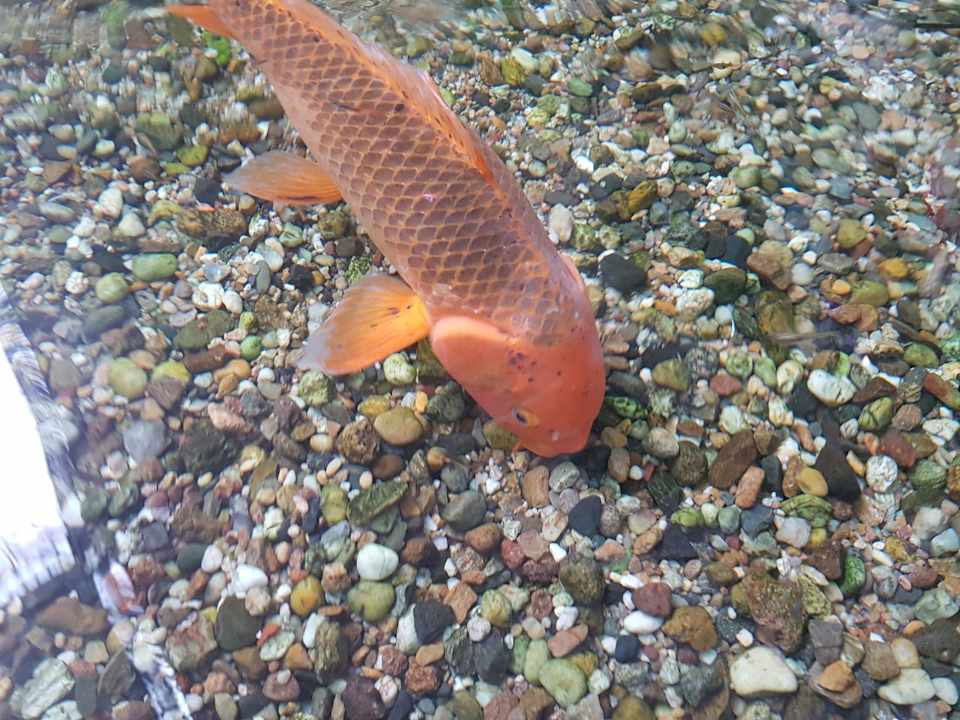 Sonstiges Tropical Islands Resort