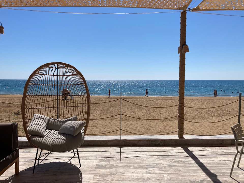 Sonstiges Seashell Vega