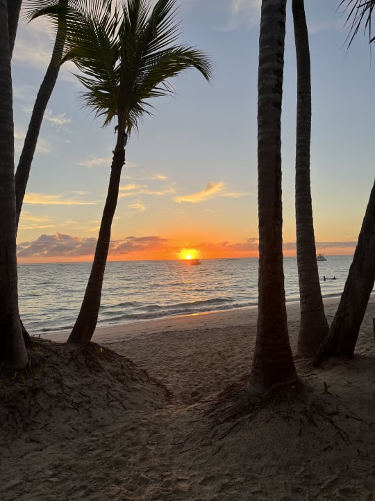 Ausblick TRS Turquesa Hotel - Adults only