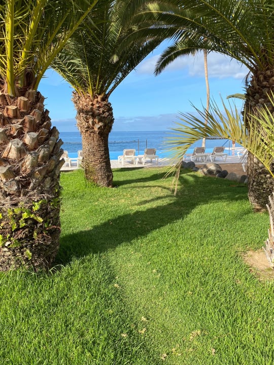 Gartenanlage Hotel Riu Arecas - Adults only