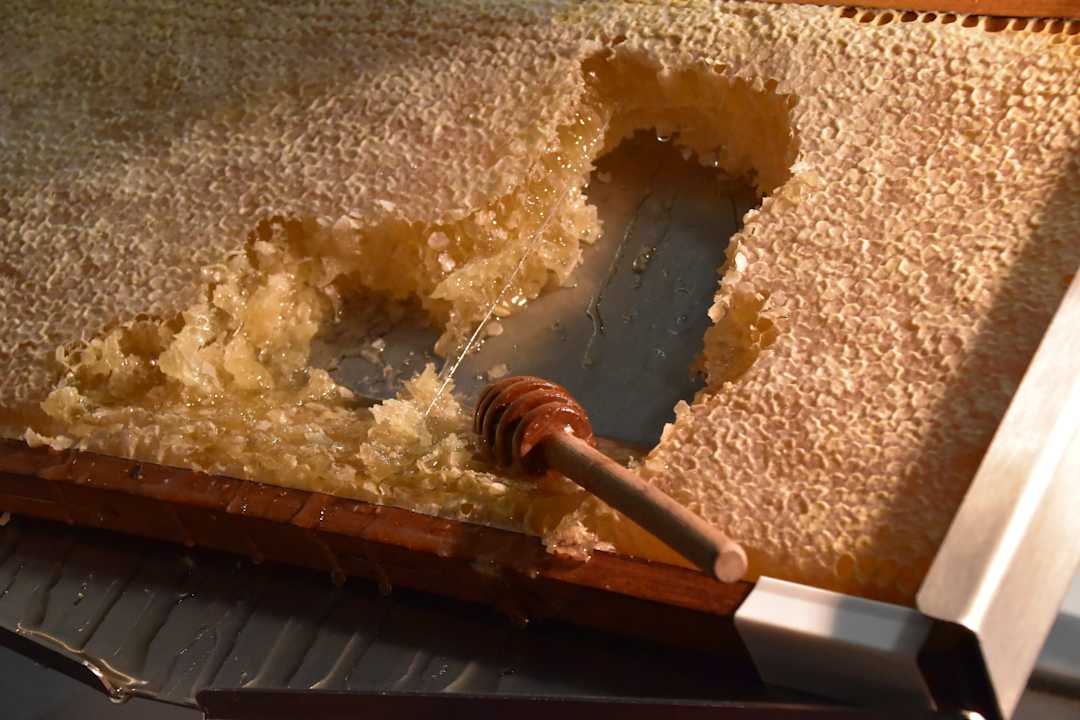 Gastro Hilton Porto Gaia