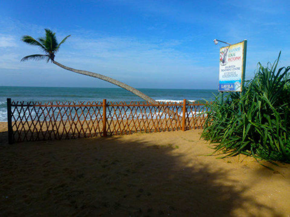 The Beach Hotel Lavila