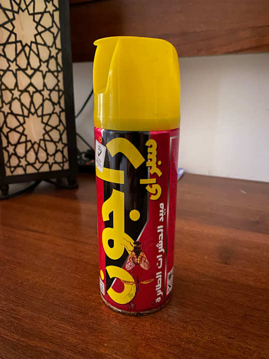 Zimmer Royal Star Beach Resort