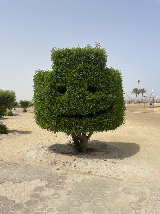 Strand Malikia Resort Abu Dabbab