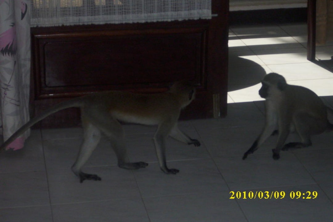 Odwiedziny PrideInn Flamingo Beach Resort & Spa